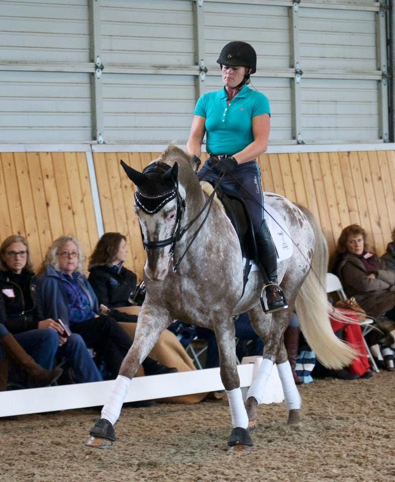319960007_698922928254852_4958891889516461397_n dressage training